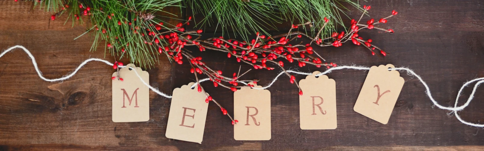 Christmas Activities In Chicago